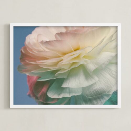 Delicate Ranunculus Flower Art by Elena Kulikova