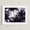 Flare and Shade Art by Alaric Yanos