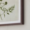 Foraged I Art by Kamala Nahas