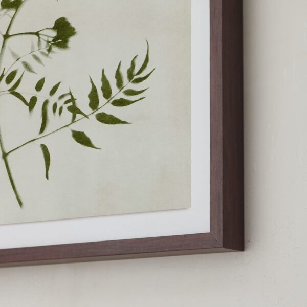 Foraged I Art by Kamala Nahas Foraged I Art by Kamala Nahas