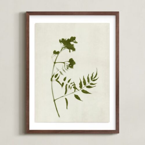 Foraged I Art by Kamala Nahas