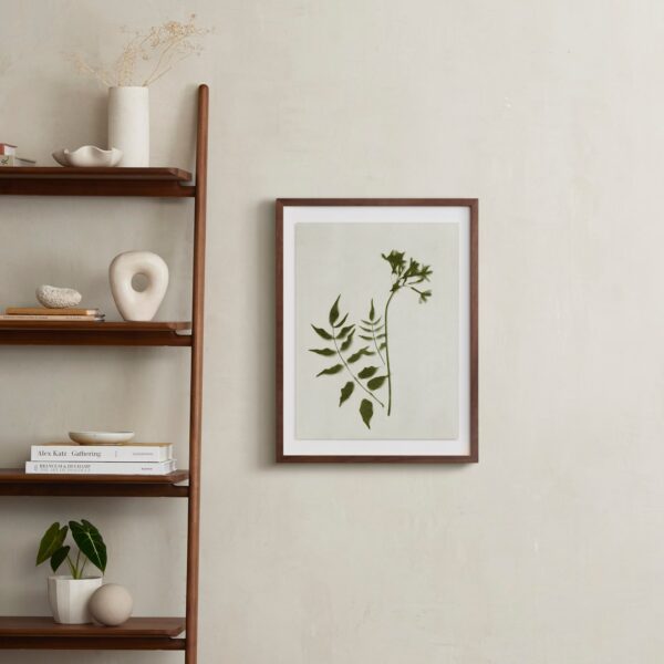 Foraged II Art by Kamala Nahas Foraged II Art by Kamala Nahas