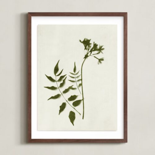 Foraged II Art by Kamala Nahas
