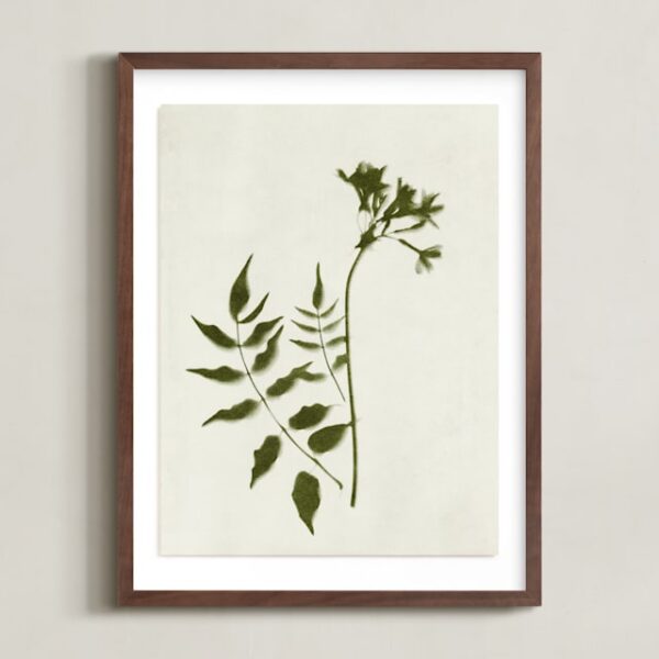 Foraged II Art by Kamala Nahas Foraged II Art by Kamala Nahas