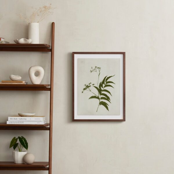 Foraged III Art by Kamala Nahas Foraged III Art by Kamala Nahas