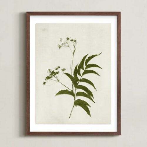 Foraged III Art by Kamala Nahas