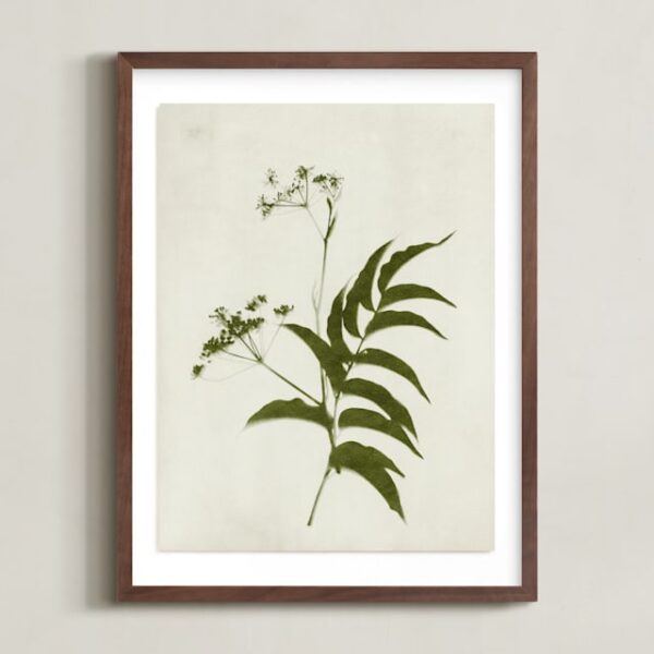 Foraged III Art by Kamala Nahas Foraged III Art by Kamala Nahas