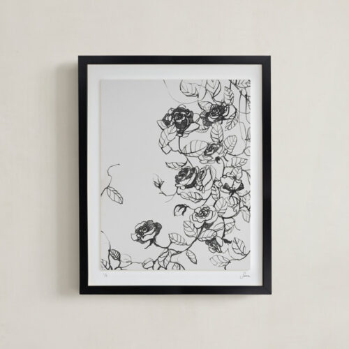 Inky Rambling Rose (edition of 5) Pick And Pack by Sonal Nathwani