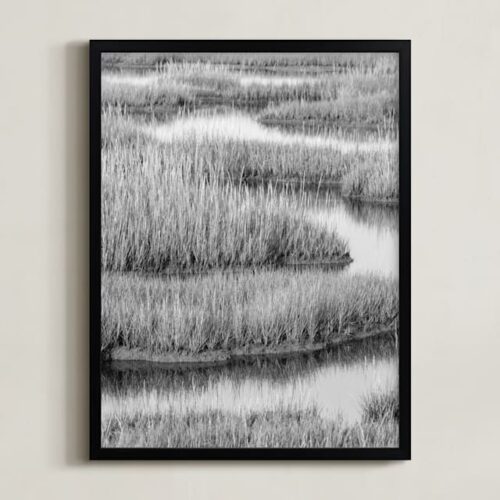 Marshlands 1 Art by Elizabeth Pyle