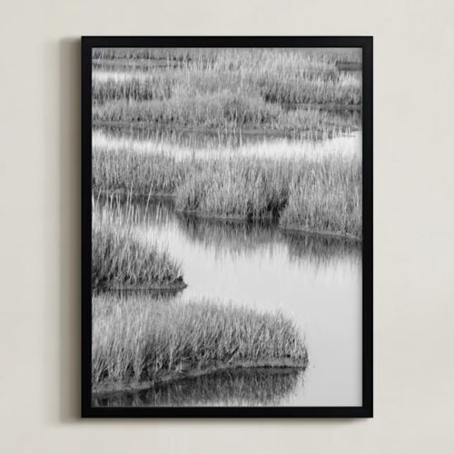 Marshlands 2 Art by Elizabeth Pyle