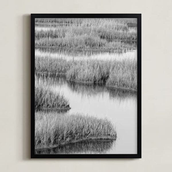 Marshlands 2 Art by Elizabeth Pyle Marshlands 2 Art by Elizabeth Pyle