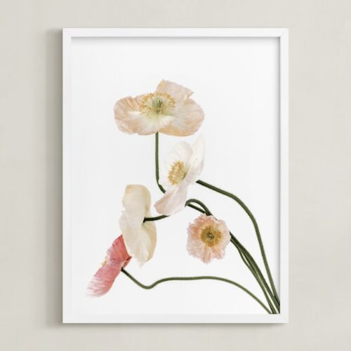 Poppies II Art by Blustery August