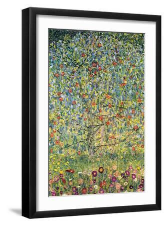 Apple Tree - Black Framed Art Print Wall Art, 12x18