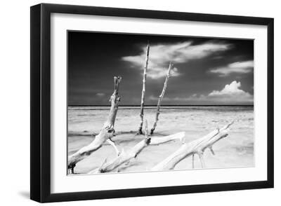 Cuba Fuerte Collection B&W - Trees and White Sand XI - Black Framed Art Print Wall Art, 18x12 Cuba Fuerte Collection B&W - Trees and White Sand XI - Black Framed Art Print Wall Art, 18x12