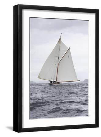 Fleeting Glide - Black Framed Art Print Wall Art, 12x18