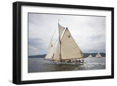 Floating Fleet - Black Framed Art Print Wall Art, 18x12