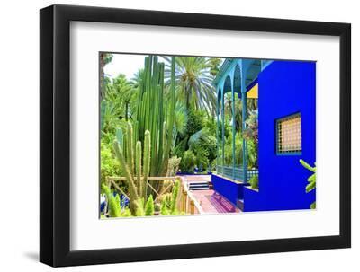 Jardin Majorelle - Marrakech - Morocco - North Africa - Africa - Black Framed Art Print Wall Art, 12x8 Jardin Majorelle - Marrakech - Morocco - North Africa - Africa - Black Framed Art Print Wall Art, 12x8