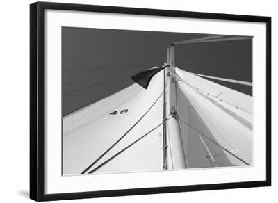 Nautical Adventure - Mast - Black Framed Art Print Wall Art, 24x16