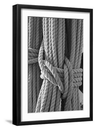 Nautical Quest - Cable - Black Framed Art Print Wall Art, 12x18