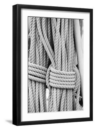 Nautical Quest - Rope - Black Framed Art Print Wall Art, 12x18