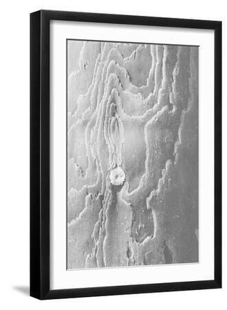 Ocean Driftwood - Knot - Black Framed Art Print Wall Art, 12x18 Ocean Driftwood - Knot - Black Framed Art Print Wall Art, 12x18