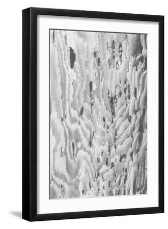 Ocean Driftwood - Layer - Black Framed Art Print Wall Art, 12x18 Ocean Driftwood - Layer - Black Framed Art Print Wall Art, 12x18