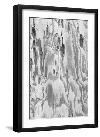 Ocean Driftwood - Pattern - Black Framed Art Print Wall Art, 12x18 Ocean Driftwood - Pattern - Black Framed Art Print Wall Art, 12x18