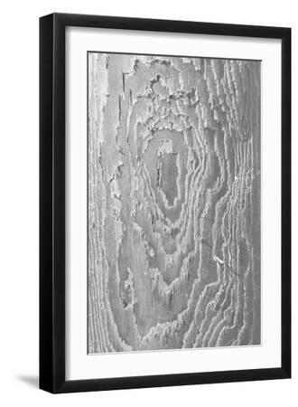 Ocean Driftwood - Ripple - Black Framed Art Print Wall Art, 12x18 Ocean Driftwood - Ripple - Black Framed Art Print Wall Art, 12x18