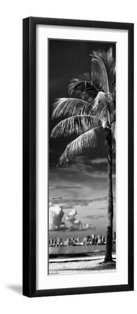 Palm Tree overlooking Downtown Miami - Florida - Black Framed Art Print Wall Art, 8x24 Palm Tree overlooking Downtown Miami - Florida - Black Framed Art Print Wall Art, 8x24