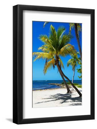 Palms on a White Sand Beach in Key West - Florida - Black Framed Art Print Wall Art, 8x12 Palms on a White Sand Beach in Key West - Florida - Black Framed Art Print Wall Art, 8x12