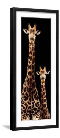 Safari Profile Collection - Giraffe and Baby Black Edition III - Black Framed Art Print Wall Art, 8x24 Safari Profile Collection - Giraffe and Baby Black Edition III - Black Framed Art Print Wall Art, 8x24