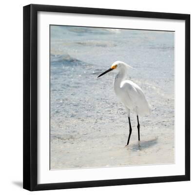 White Heron - Florida - Black Framed Art Print Wall Art, 16x16 White Heron - Florida - Black Framed Art Print Wall Art, 16x16