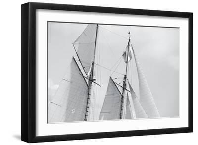 Wind in the Sails - Black Framed Art Print Wall Art, 18x12 Wind in the Sails - Black Framed Art Print Wall Art, 18x12