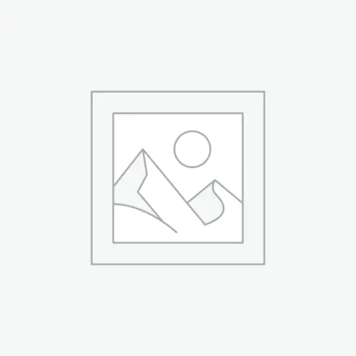 Dreamy Oyster Mushroom Art by Elena Kulikova